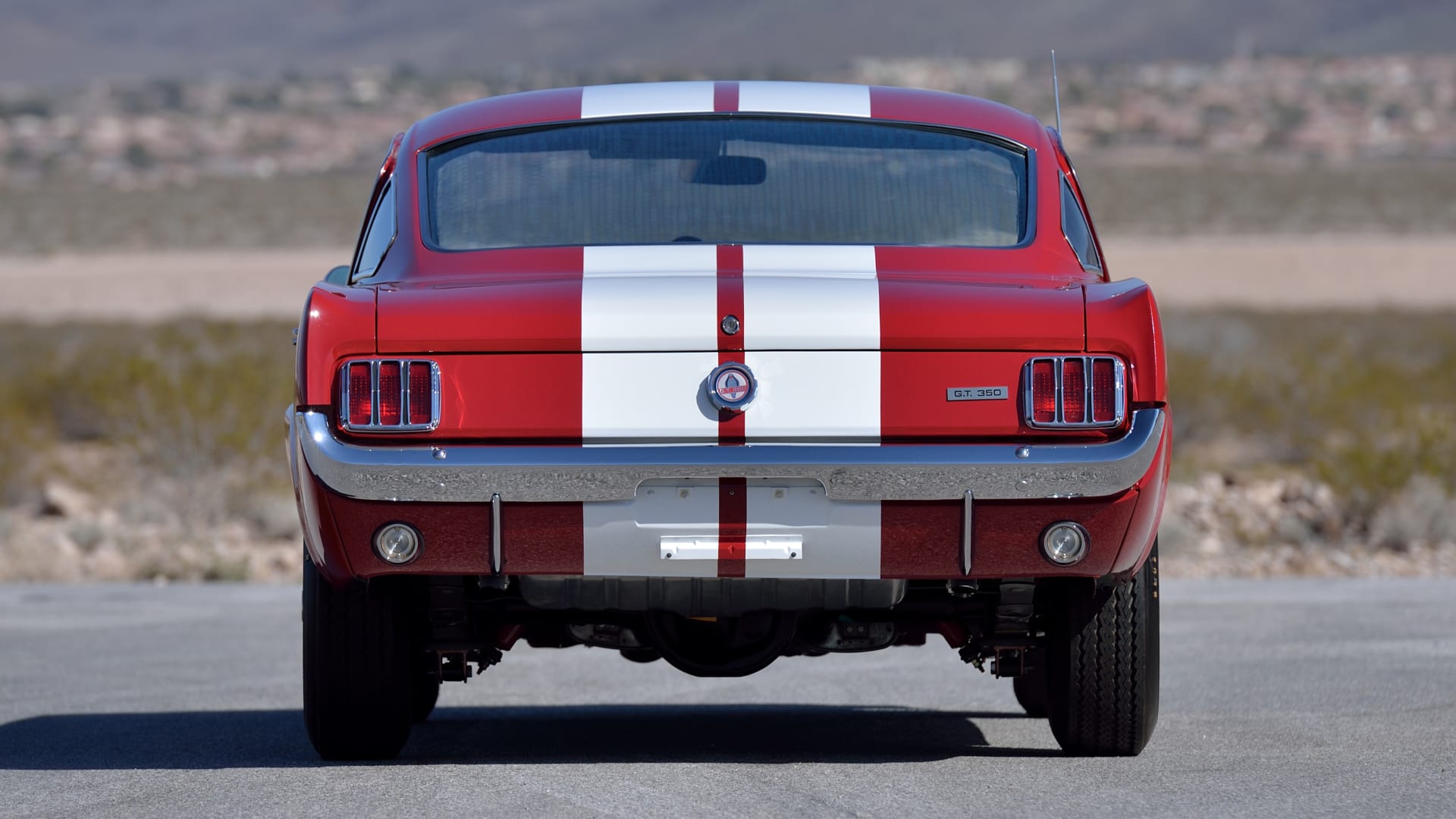 Mecum Auctions Photography Guide // Shelby GT350 rear of vehicle straight on