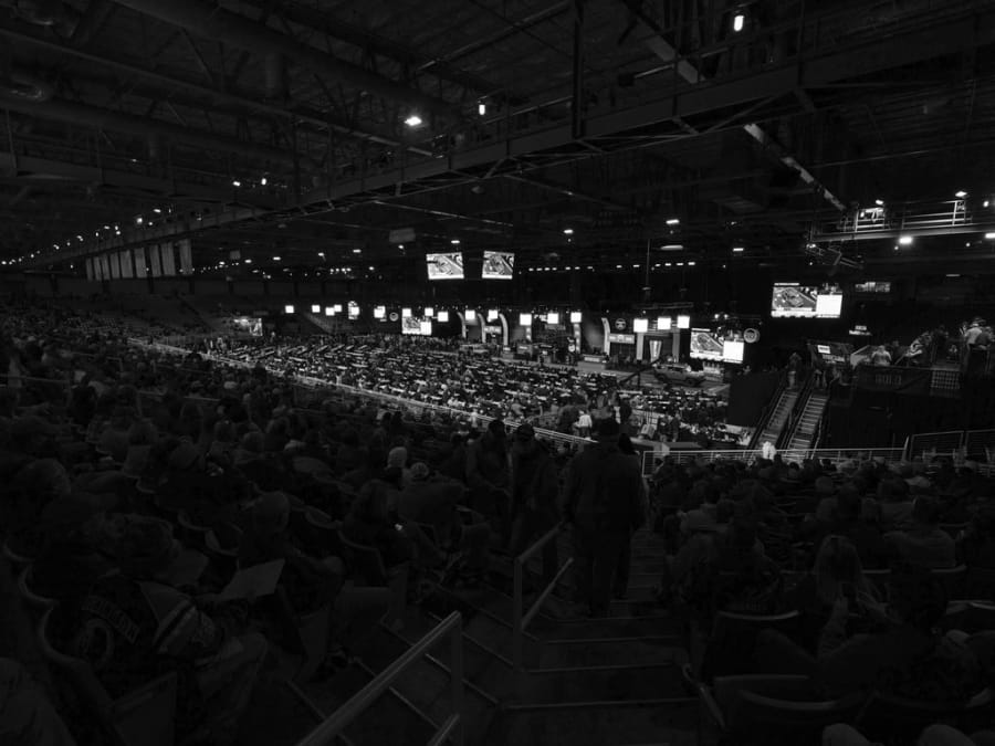 A Decade of Mecum Mecum Auctions