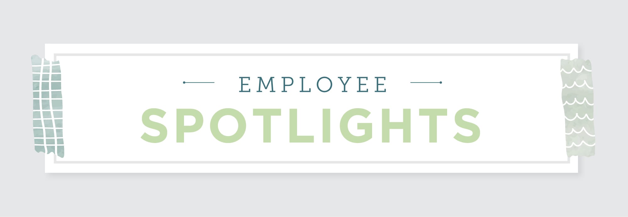 Employee Spotlights