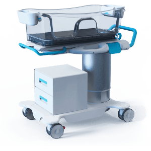 Couplet Care Couplet Care Bassinet 