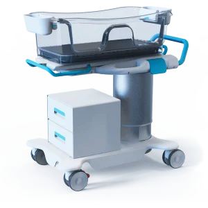 Couplet Care Bassinet 