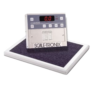 Scale Tronix Bed Scale 