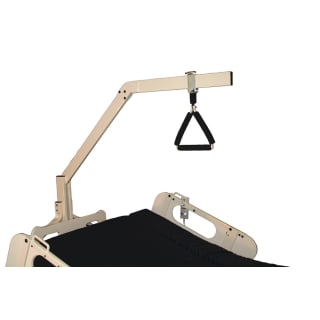 Burke TriFlex II 3 Post Trapeze