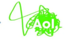 Modern AOL Logo