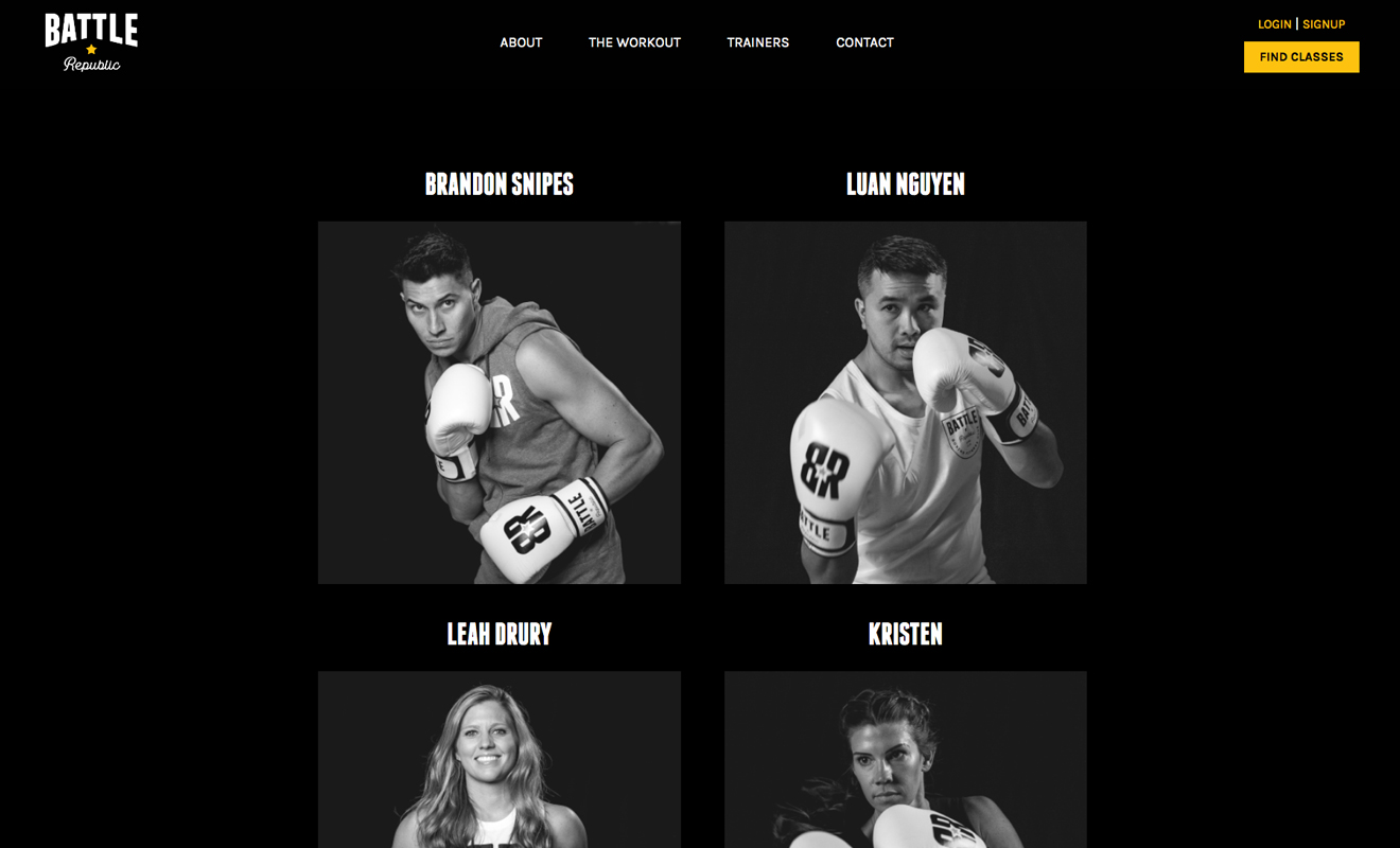 br_website_screen