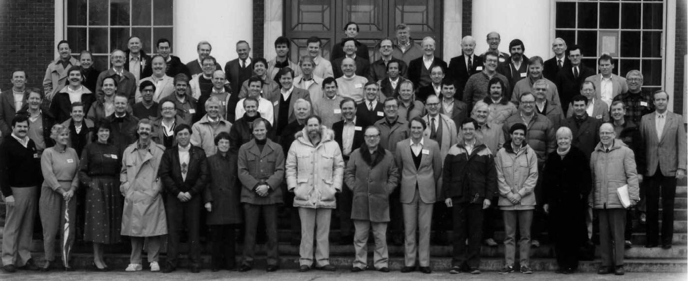 Yellawood 50th Campaign Telegraph Creative