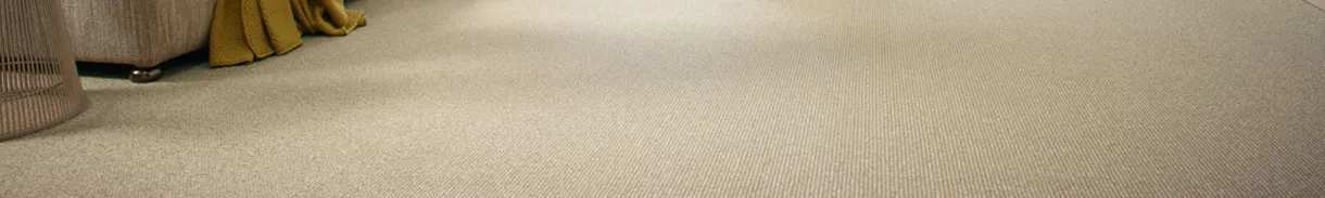 CARPET.jpg