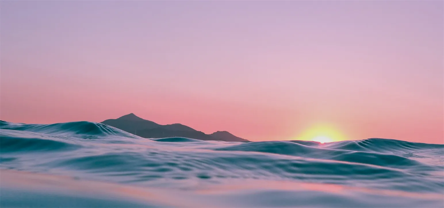 Header-1.webp