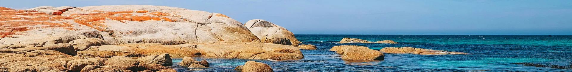 Banner-1.webp