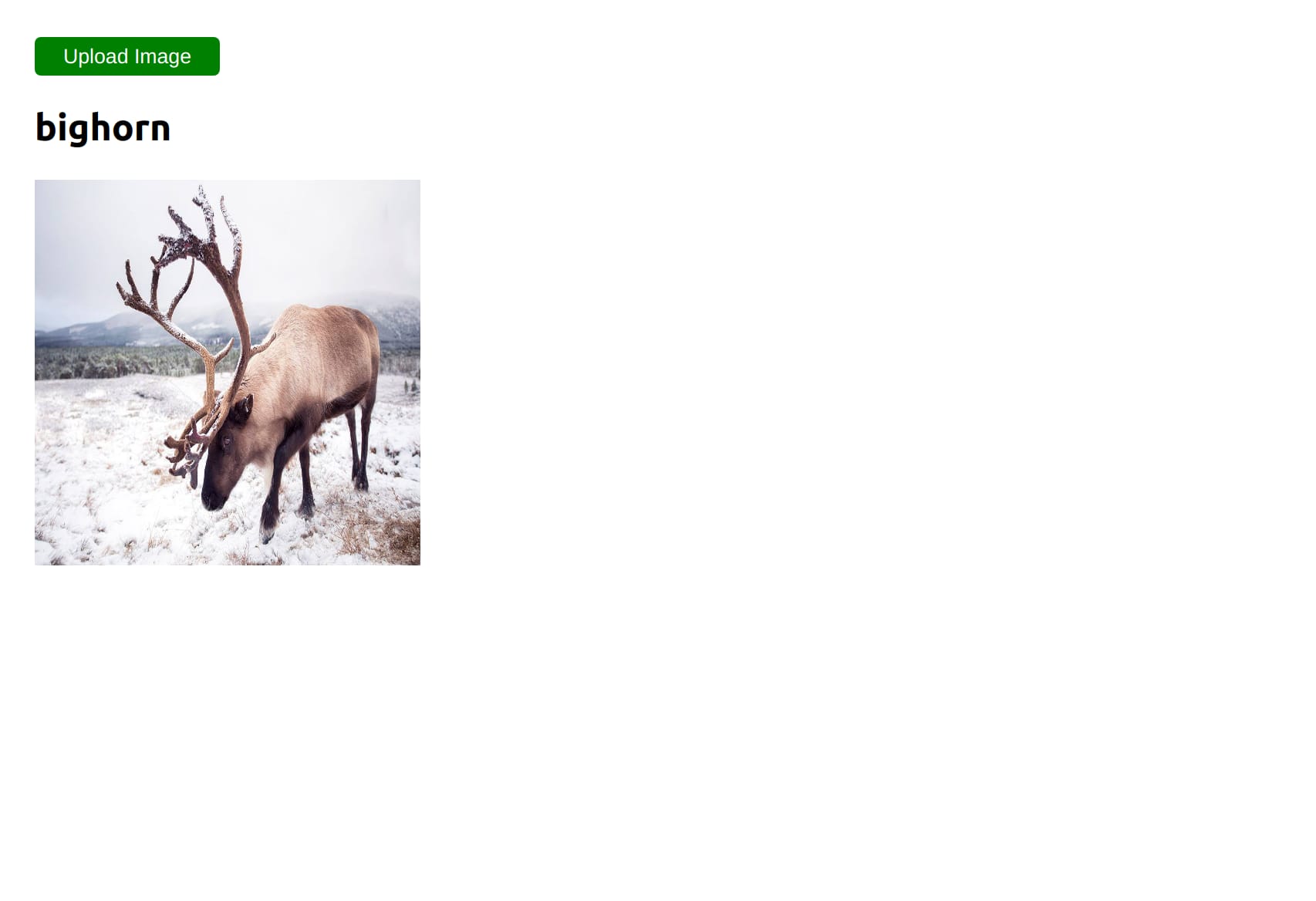 uploaded image with classification