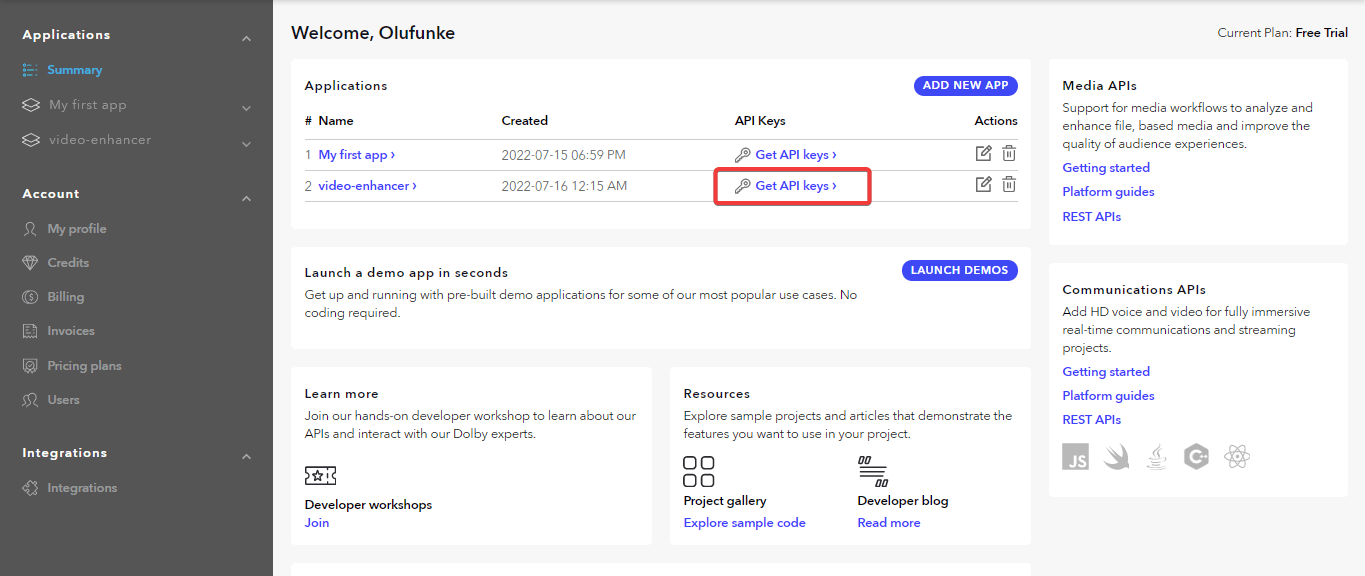 Getting the API keys from the Dolby dashboard