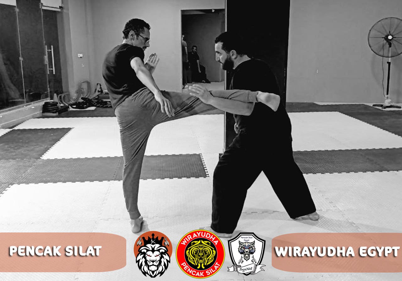 Indonesia in Abu Dhabi on X: Unleashing the Power of Pencak Silat