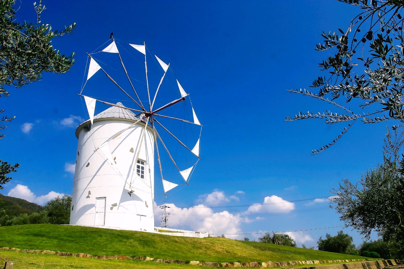 A windmill on a hillDescription automatically generated