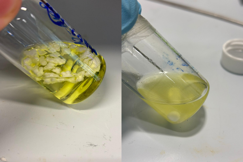  Related work from the research team that shows polystyrene breaking down in solvent. The published research in this story differs as the polymers in those experiments were already dissolved. PHOTO: UNSW - Maxime Michelas and Cyrille Boyer 