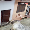 Story 1