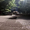 Story 1