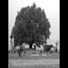 Story 1