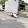 Story 1