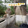 Story 1