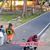 Story 1