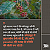Story 1