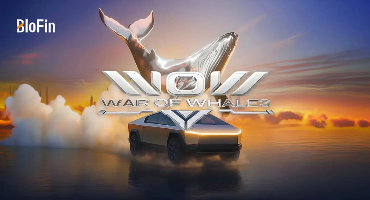 blo fin wow pr jpg