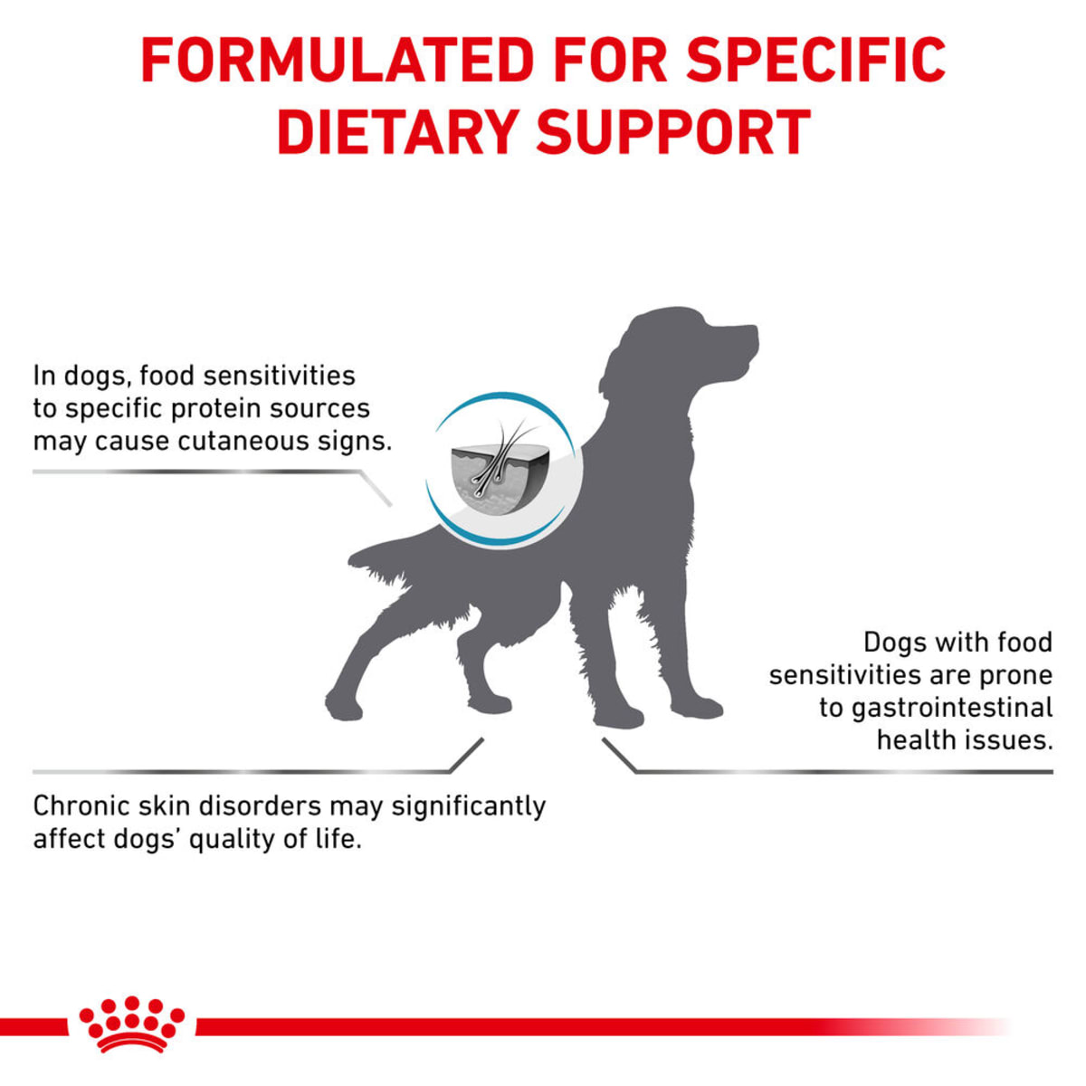 Royal Canin Anallergenic Adult Dry Dog Food 8kg Paws Com