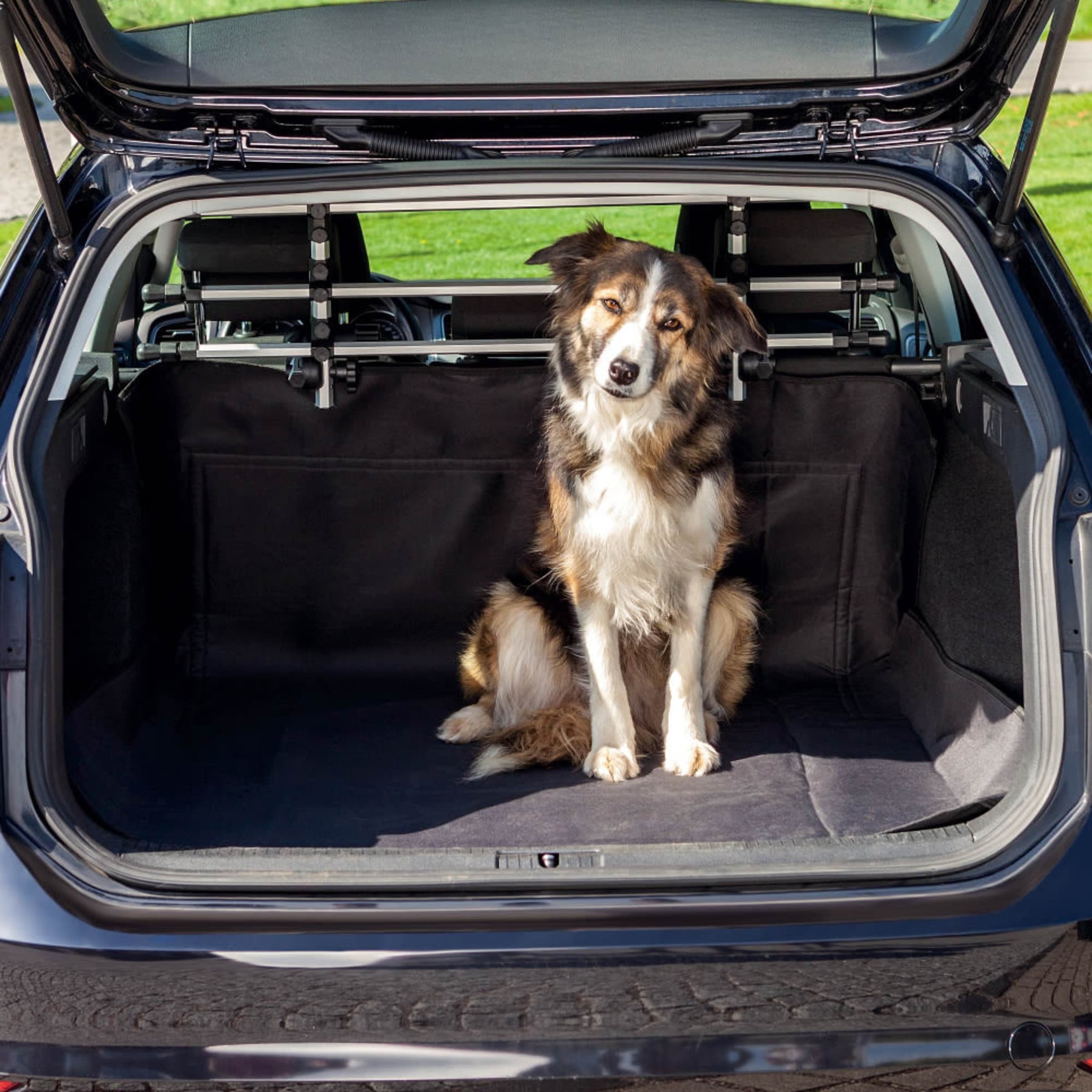 dog boot cover