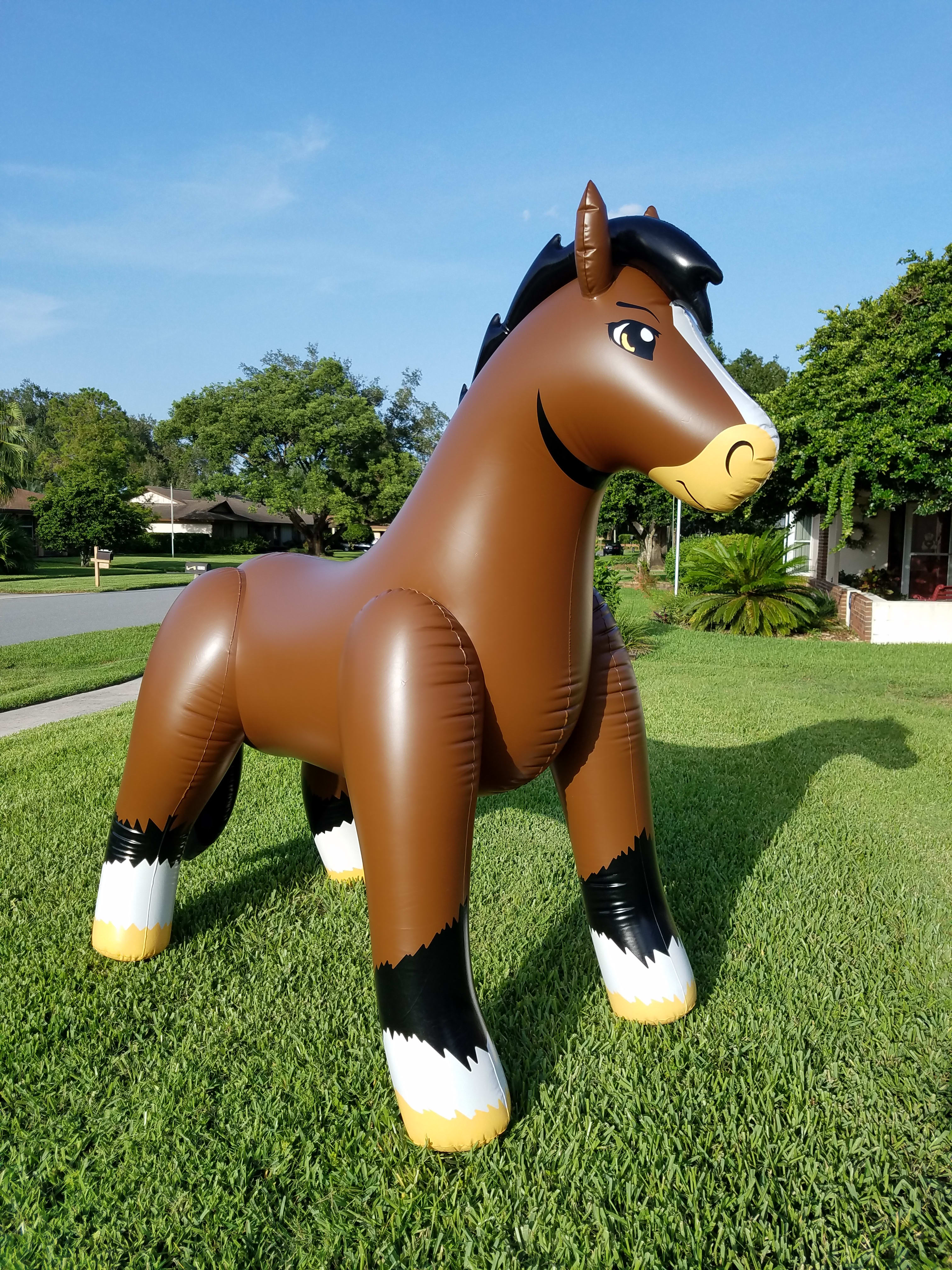 large bouncy horse