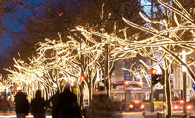 a Christmas light display we didn't make