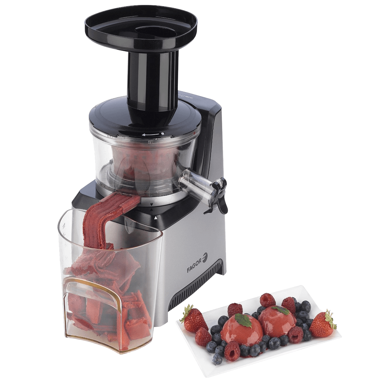 Fagor Platino Plus Slow Juicer and Sorbet Maker