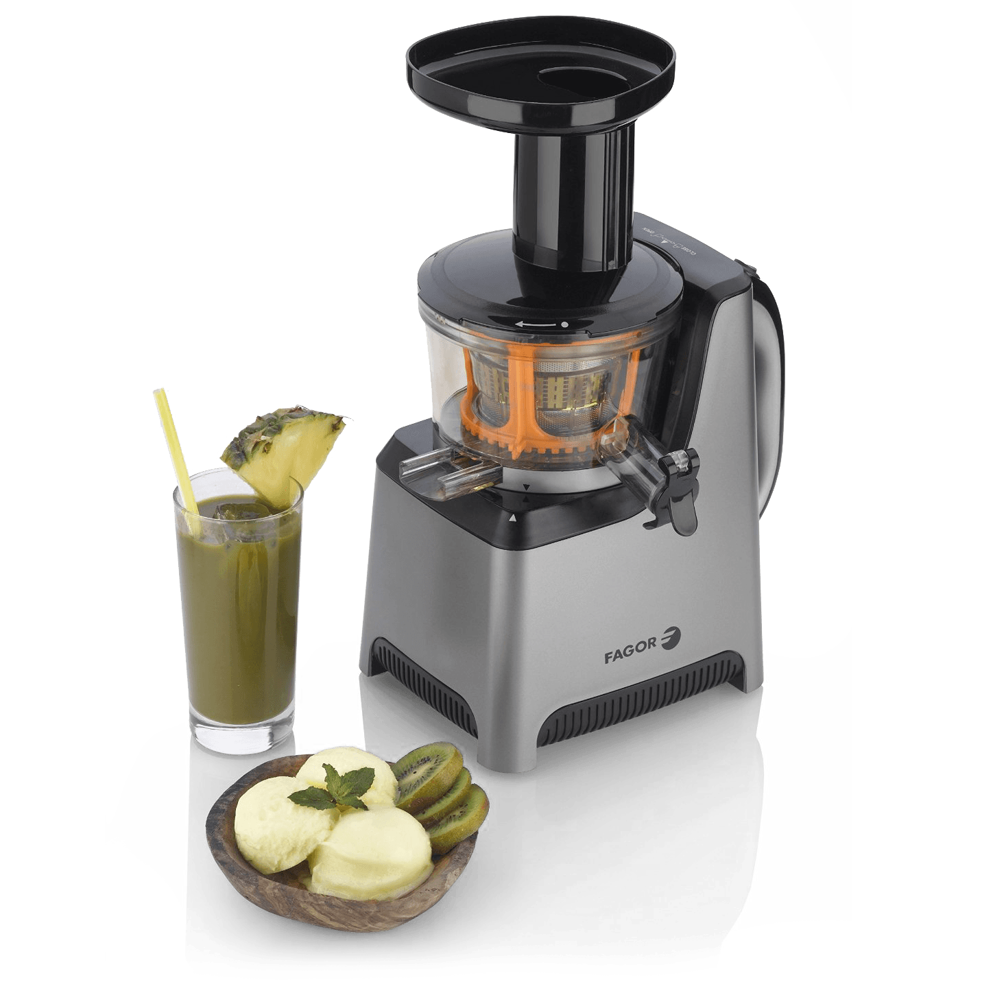 Meh Fagor Platino Plus Slow Juicer and Sorbet Maker