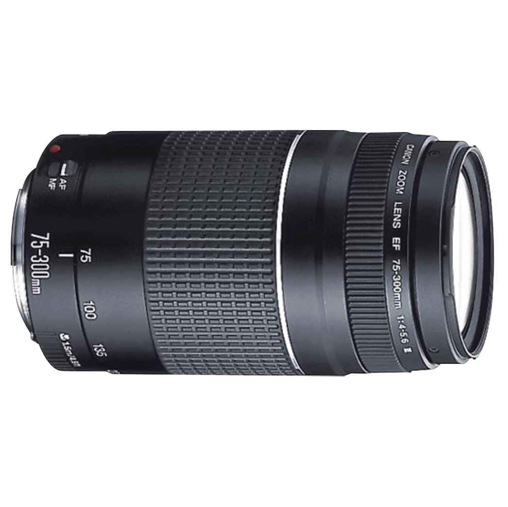 Canon 75-300. Canon 75-300mm f/4-5.6 lll USM. Canon 75-300 Ultrasonic. 75-300 Canon Ultrasonic 75-300mm.