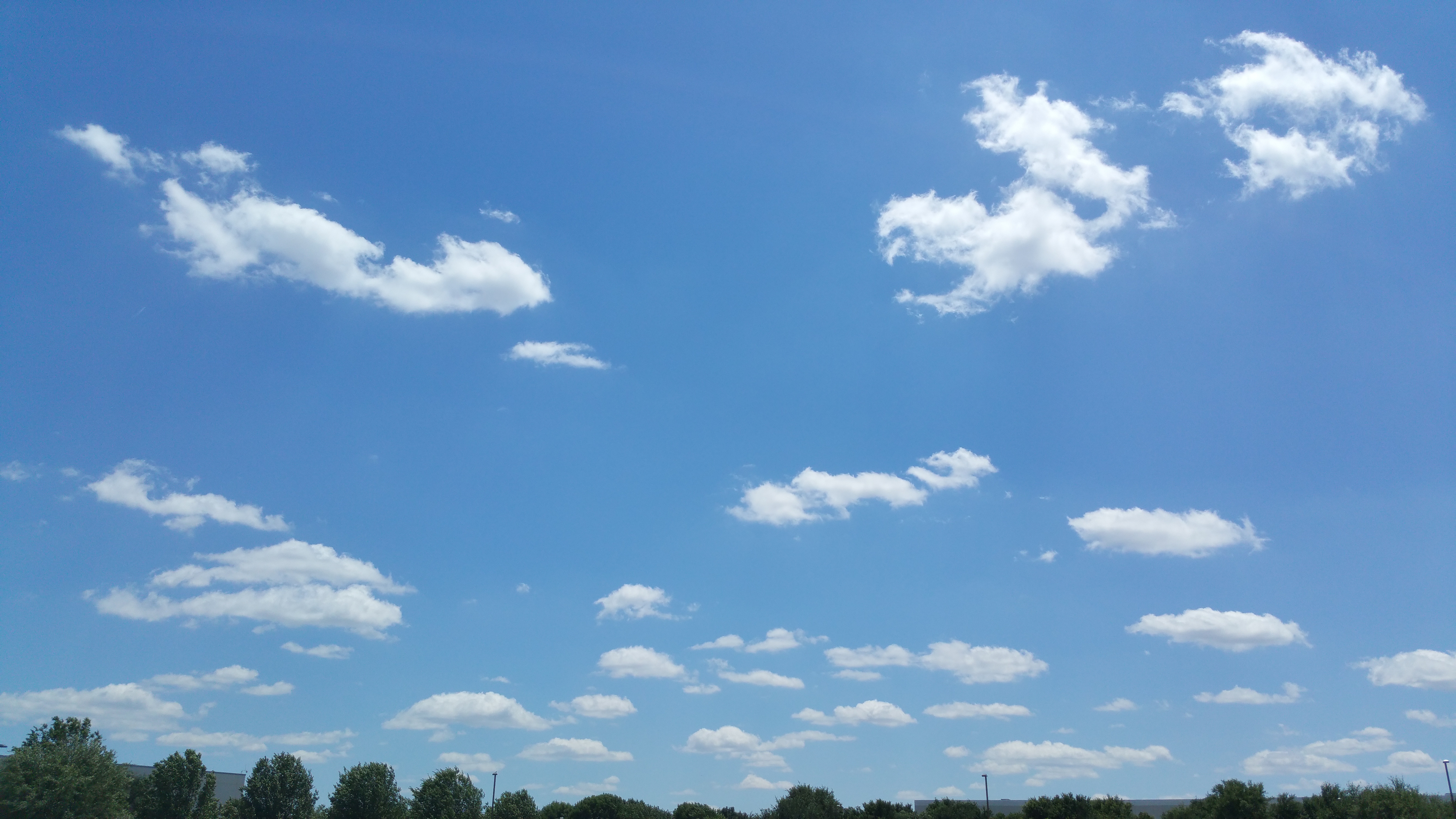 Cloud watching. Little fluffy clouds.