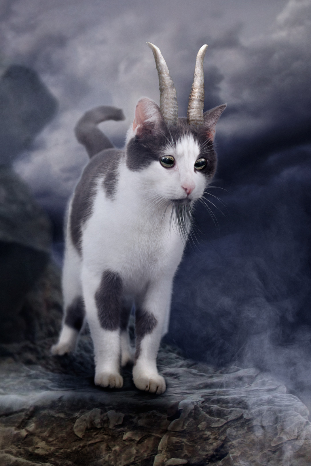 Goat costume time! (October 2017 nominations)