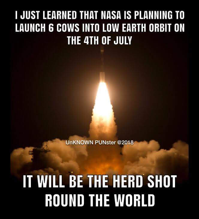 job for me 4th of july reddit job for me 4th of july reddit