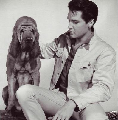 Elvis Presley & Bloodhound - Photo - 1964