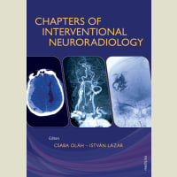 Chapters of Interventional Neuroradiology