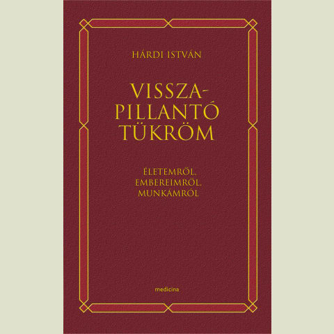 Visszapillantó tükröm