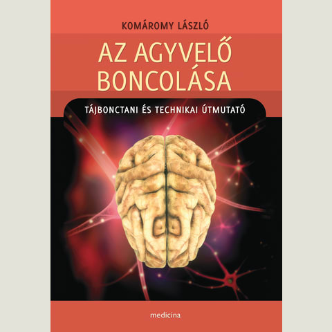 Az agyvelő boncolása