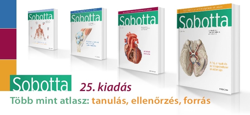 Sobotta 25