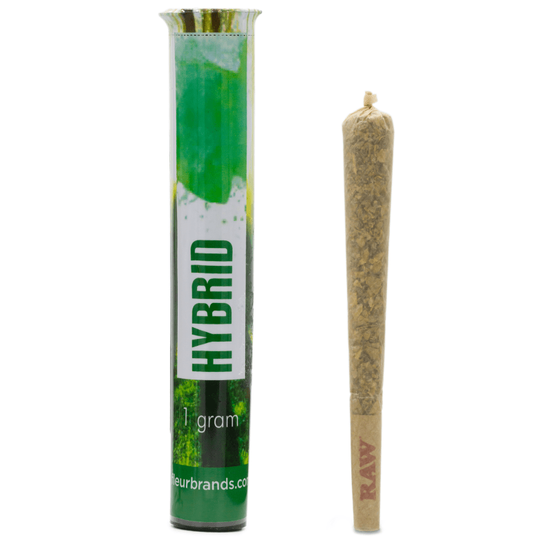 Casino Kush Cannabiotix