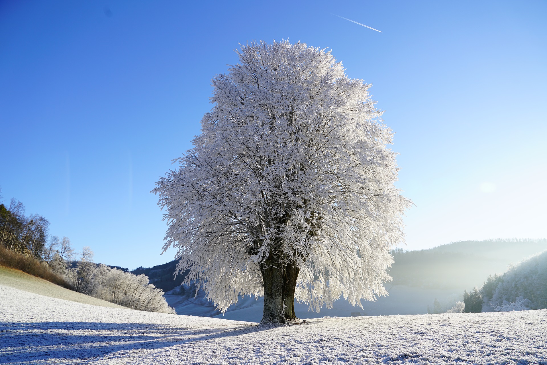 prevention-hivernale