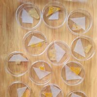 Professeur de l &eacute;ducation nationale en activit&eacute; donne cours svt tous niveaux. Propose cours en visio