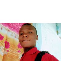 Professeur donnant les cours niveau primaire, coll&egrave;ge et lyc&eacute;e, titulaire d'un BAC+3 et mes cours se font en ligne.