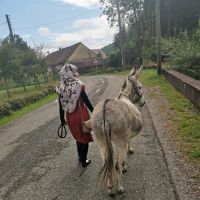 Formatrice FLE fran&ccedil;ais et remise &agrave; niveau
