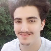 Doctorant en math&eacute;matiques appliqu&eacute;es &agrave; Paris Saclay propose cours de maths par Zoom