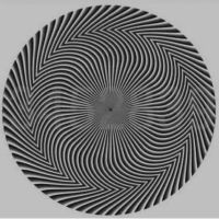 Titulaire d'une licence en Mathématiques appliquées, avec 3 ans d'expériences en accompagnement scolaire