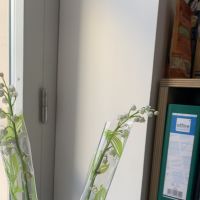 &Eacute;tudiante en Classe Pr&eacute;paratoire BCPST propose des cours sur les mati&egrave;res scientifiques mais aussi espagnol et fran&ccedil;ais