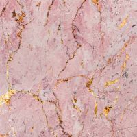 Titulaire d'un Master 2 en Biotechnologies, j'ai des comp&eacute;tences en Physique/Chimie, SVT, math&eacute;matiques